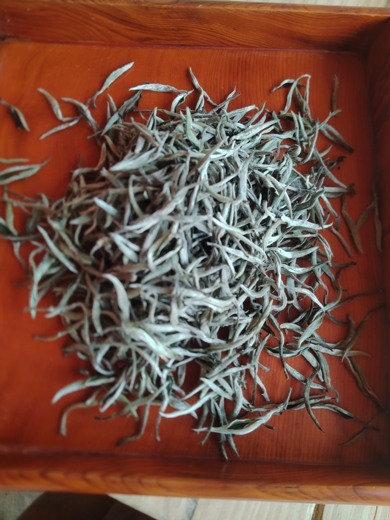 白茶普洱茶尖