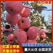 【推荐】精品苹果红富士苹果烟台苹果产地直发品质保障
