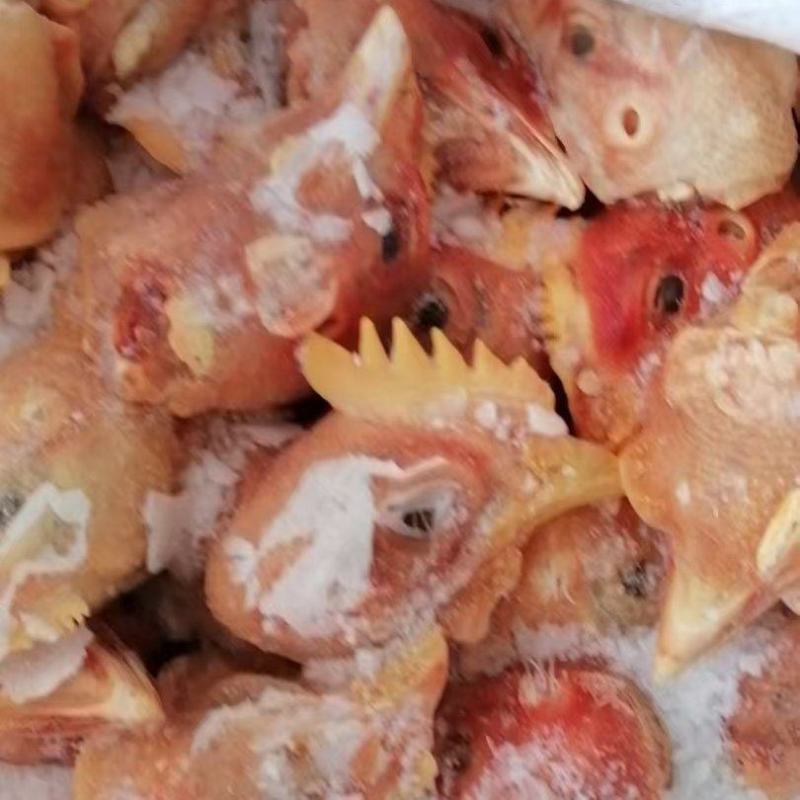 饲料鸡头