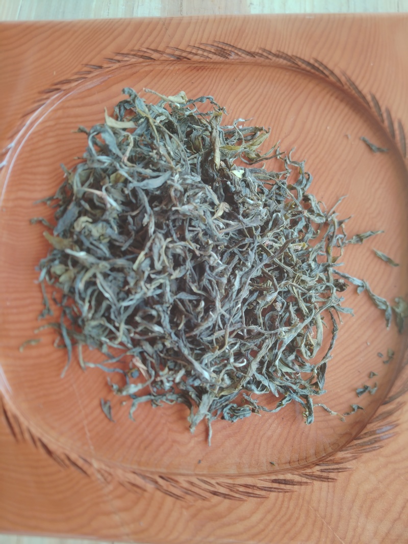 2025头春古树茶