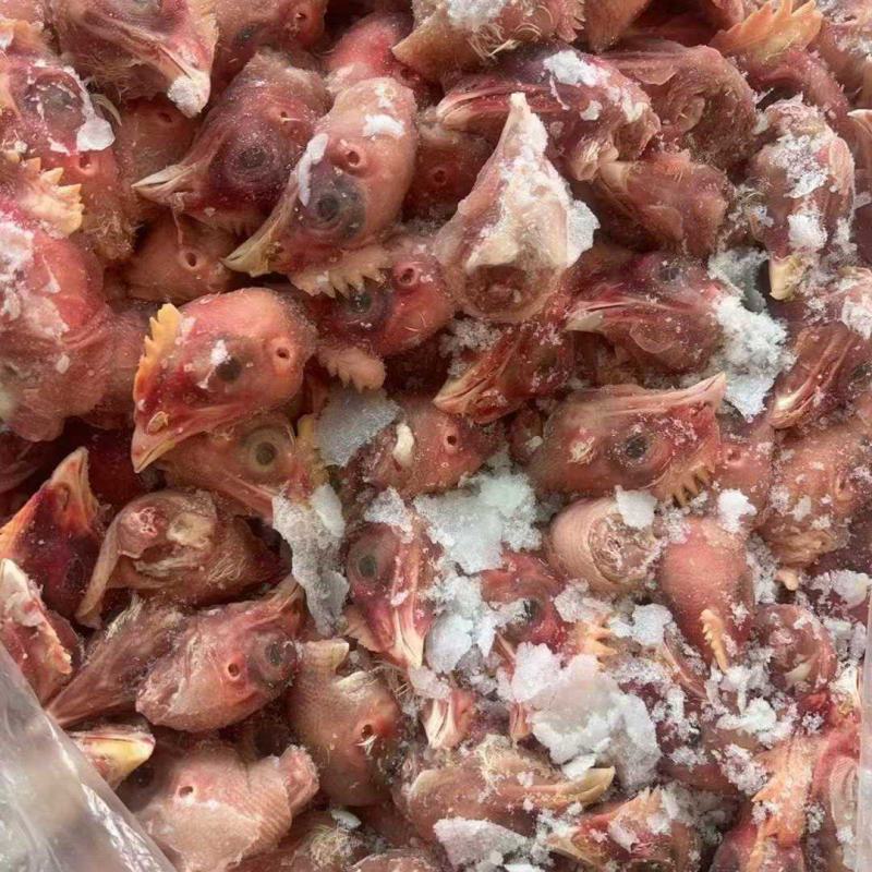 817鸡头饲料用工厂直发