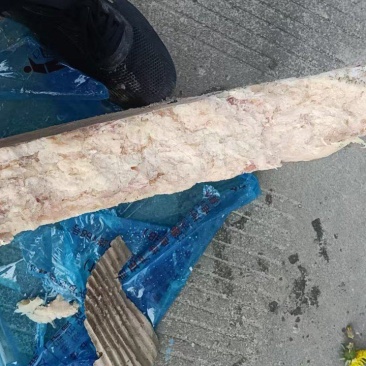 鸡板油肉鸡板油
