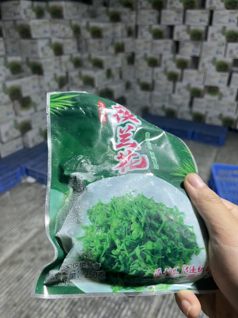夜香花