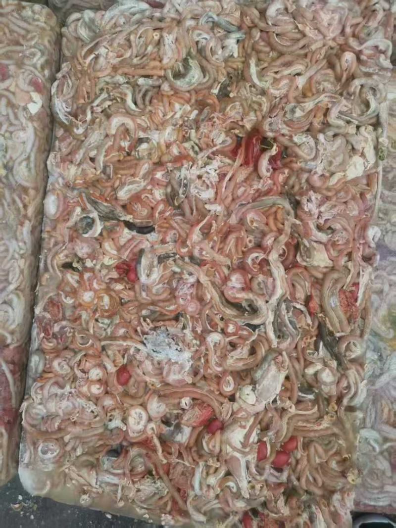 饲料用鸡肠工厂直发