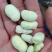 好货推荐重庆胡豆精品蚕豆对接电商市场一手货源