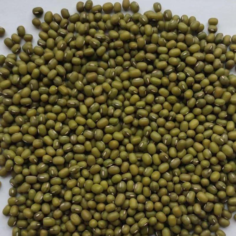 精品芽豆，绿豆敖汉杂粮特产