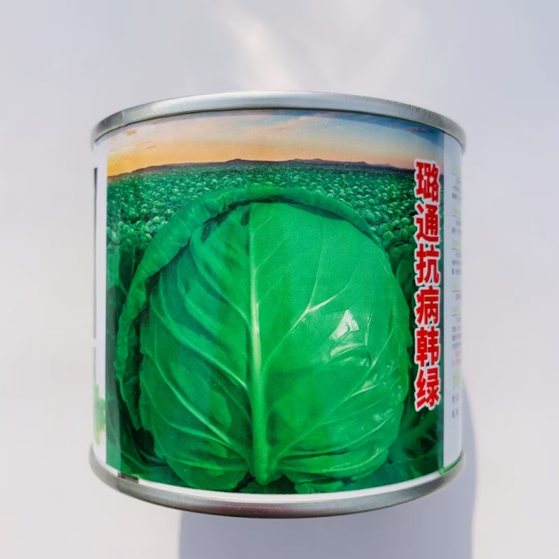 璐通抗病韩绿甘蓝种子松软黄芯包心菜种子耐寒高产水果型甘兰