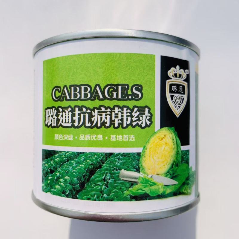 璐通抗病韩绿甘蓝种子松软黄芯包心菜种子耐寒高产水果型甘兰