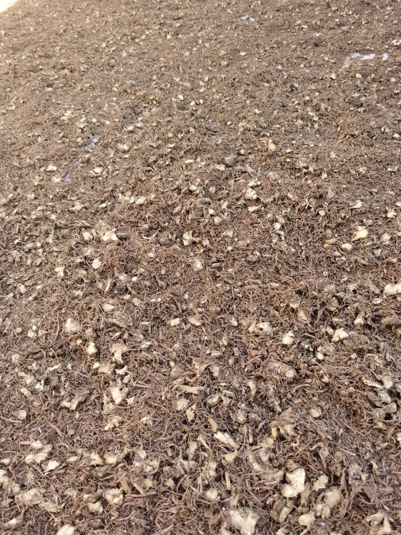 紫菀，水洗全切通货。陕西产地，品质保障