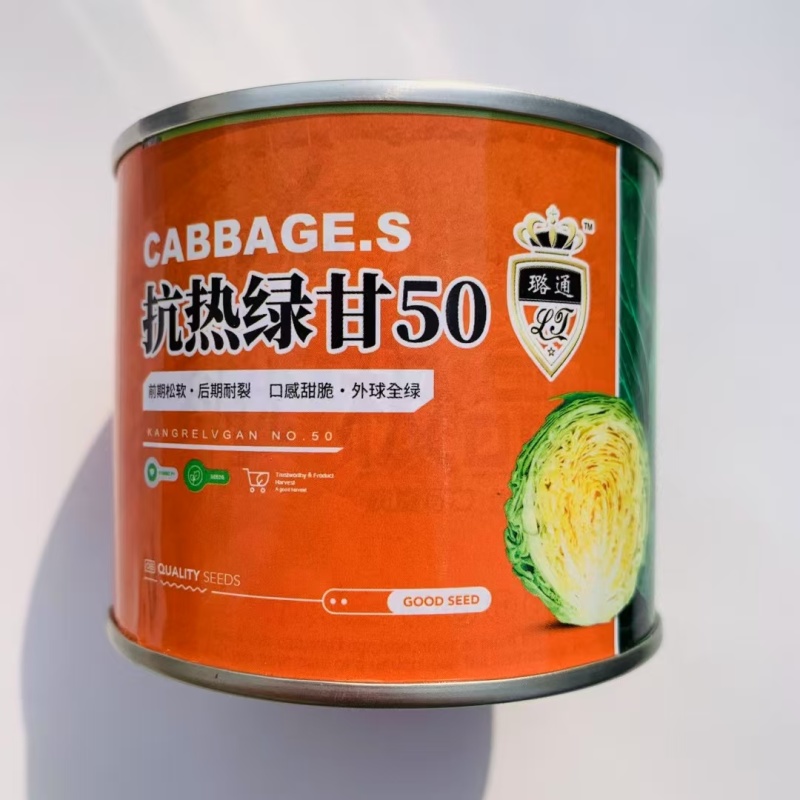 铁头抗热绿甘60包菜种子抗病耐裂结球甘蓝菜高产包心菜种子