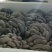 鲜平菇大量供应商超市场团购可视频看货实地看货