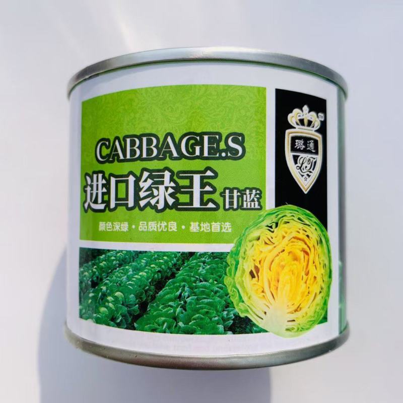 进口绿王甘蓝种子基地优选半松型甘蓝早熟圆球形包心菜种子颜