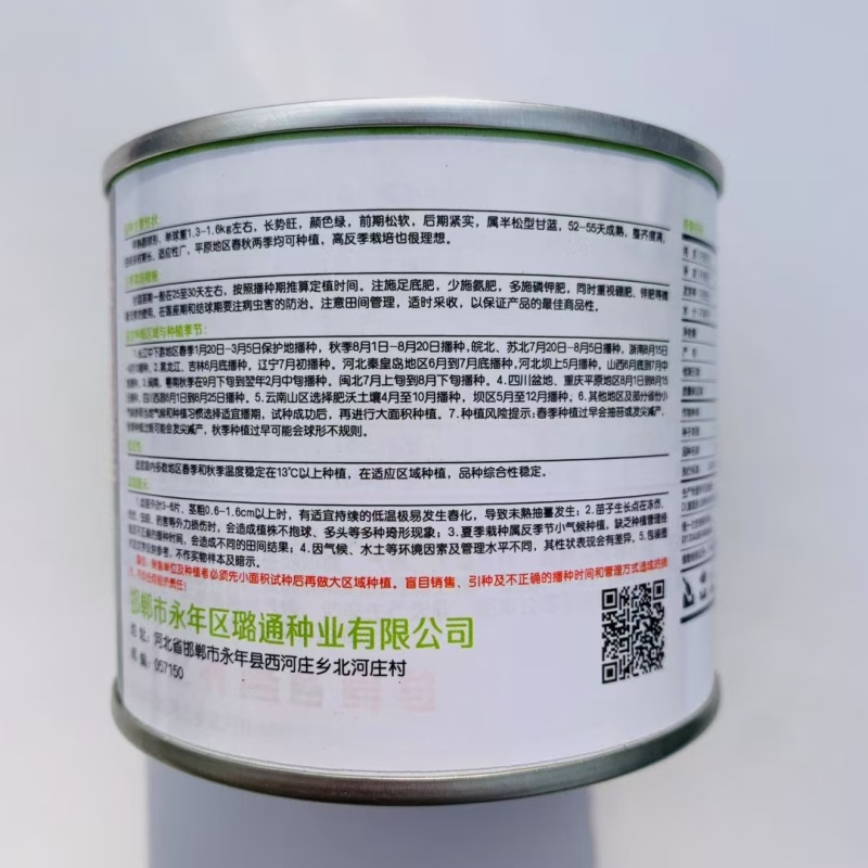 进口绿王甘蓝种子基地优选半松型甘蓝早熟圆球形包心菜种子颜
