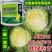 韩绿松甘水果甘蓝种子基地专用耐裂球脆嫩甘甜黄芯包头菜种籽