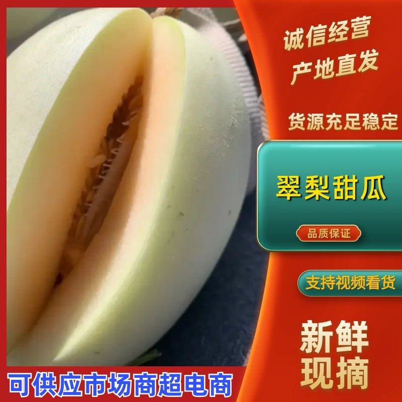 山东翠梨甜瓜新货上市一手货源甜度高汁水足量大价优品质保证