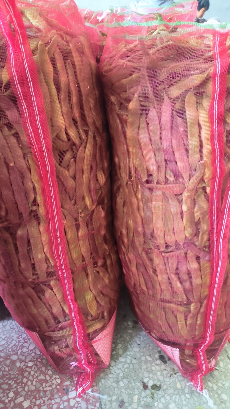 精品四季豆油豆