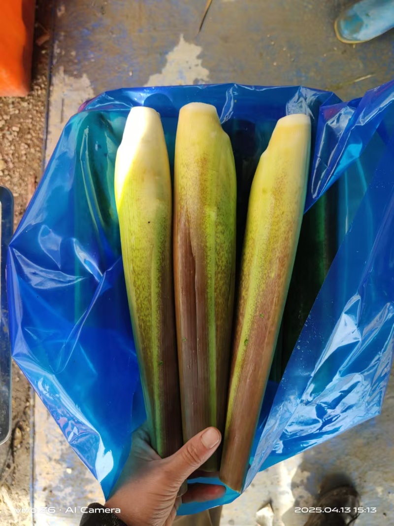 茭白大量现货供应，规格齐全，可视频看货代发全国欢迎电联