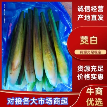 茭白基地直供一手货源，对接电商市场批发商可视频看货