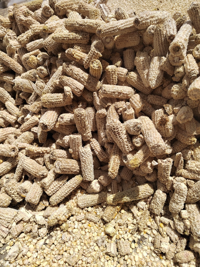 玉米芯