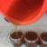 天然土蜂蜜4月13日割的新全封盖成熟蜜百花春蜜