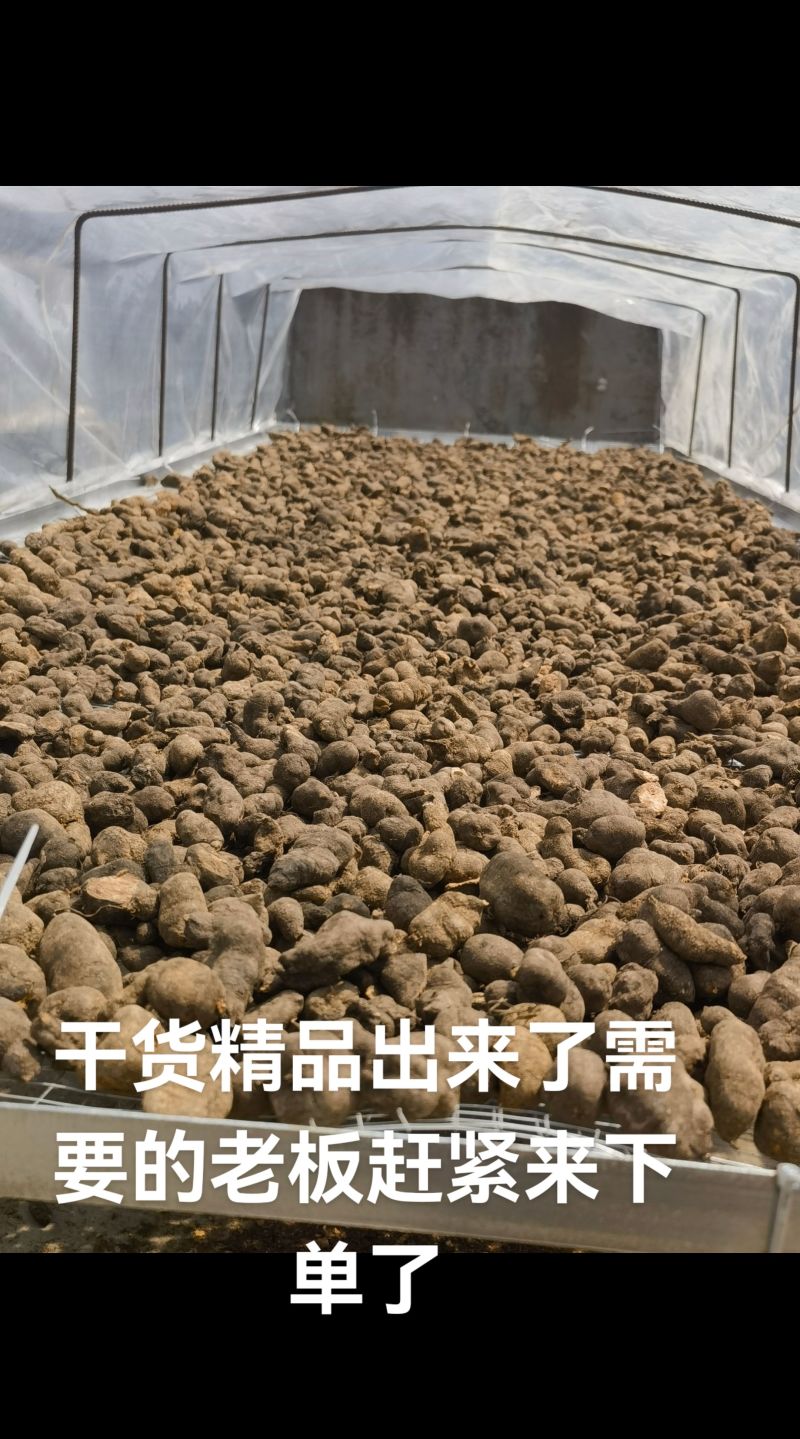 贵州精品三叶青干货，品质保证，***的，无硫无化学反应