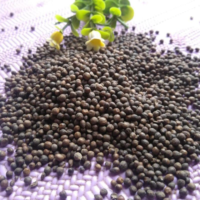 牡荆子1公斤中药材批发布荆子黄金子小荆实牡荆实荆条果黄荆子