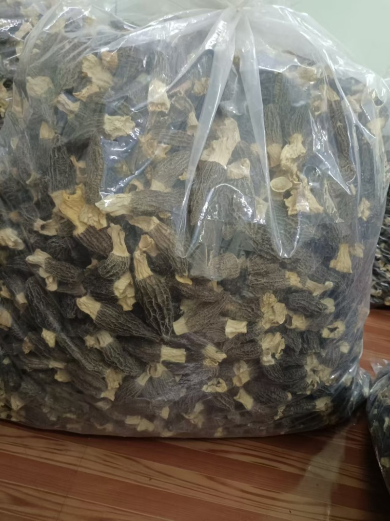 羊肚菌全国发货质量保证欢迎各位电话咨询