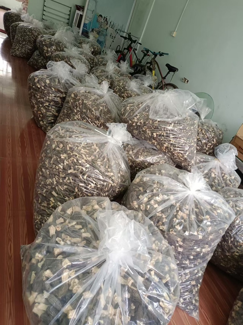 羊肚菌全国发货质量保证欢迎各位电话咨询