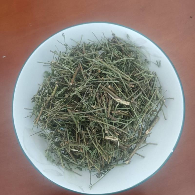 小叶荊芥湖南湘西野生小叶荆芥自泡茶待客热茶冷茶农户直发