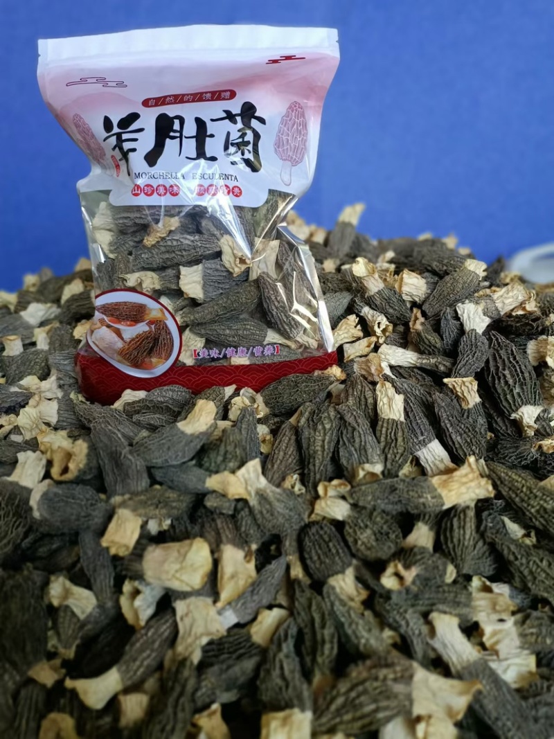 羊肚菌保质保量可批发可零售欢迎电话联系