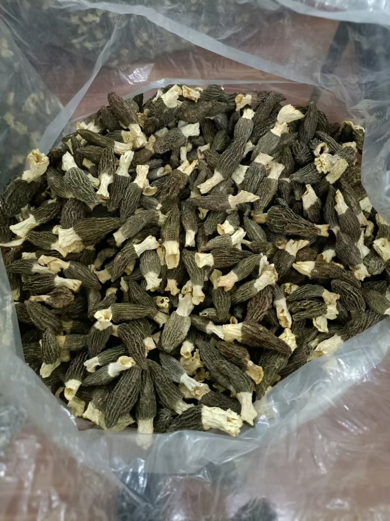 羊肚菌保质保量可批发可零售欢迎电话联系