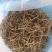 小叶荊芥湖南湘西野生小叶荆芥自泡茶待客热茶冷茶农户直发