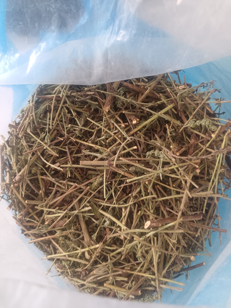 小叶荊芥湖南湘西野生小叶荆芥自泡茶待客热茶冷茶农户直发