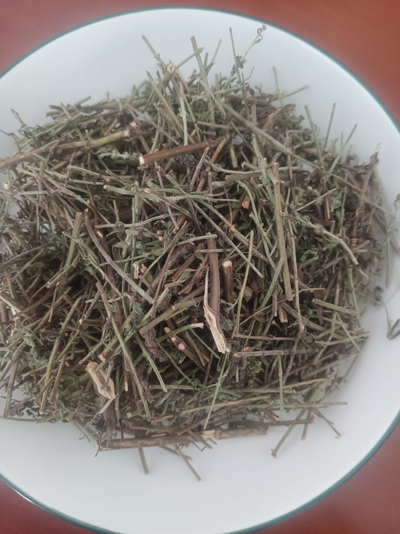 小叶荊芥湖南湘西野生小叶荆芥自泡茶待客热茶冷茶农户直发