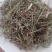 小叶荊芥湖南湘西野生小叶荆芥自泡茶待客热茶冷茶农户直发