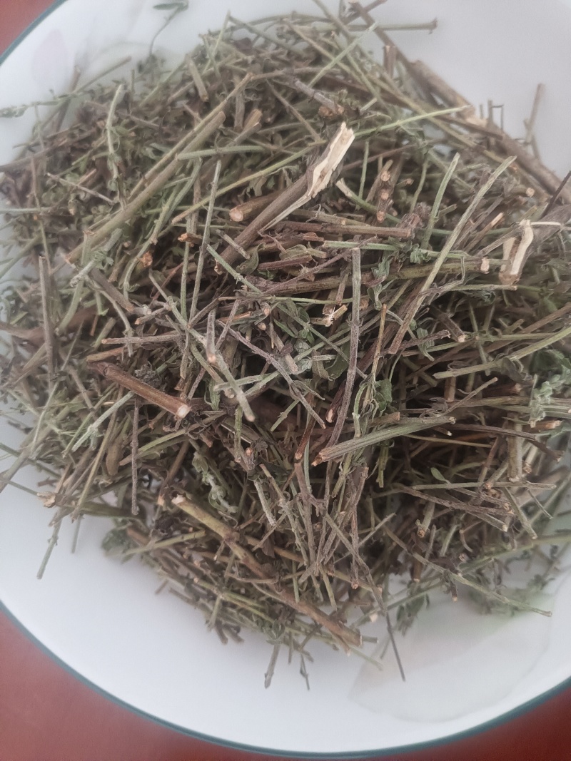 小叶荊芥湖南湘西野生小叶荆芥自泡茶待客热茶冷茶农户直发