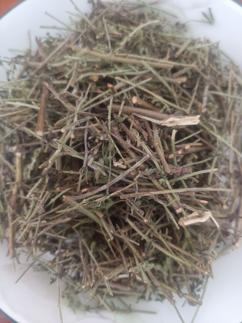 小叶荊芥湖南湘西野生小叶荆芥自泡茶待客热茶冷茶农户直发