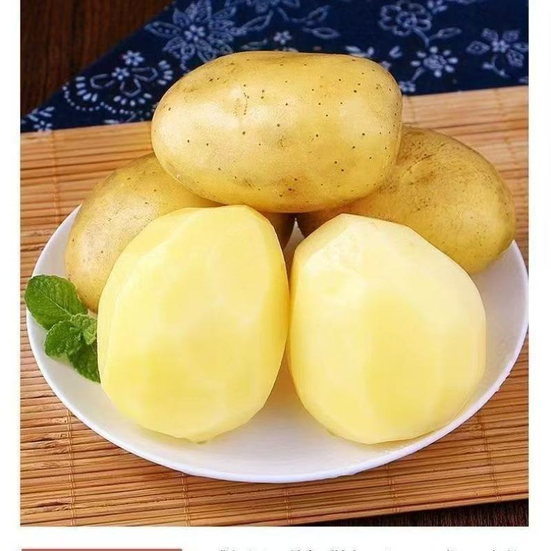 现挖黄皮大土豆新鲜黄心土豆新鲜马铃薯批发农家蔬菜洋芋包邮