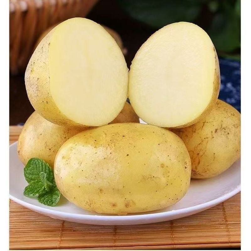 现挖黄皮大土豆新鲜黄心土豆新鲜马铃薯批发农家蔬菜洋芋包邮