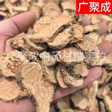红景天大花红景天西藏
