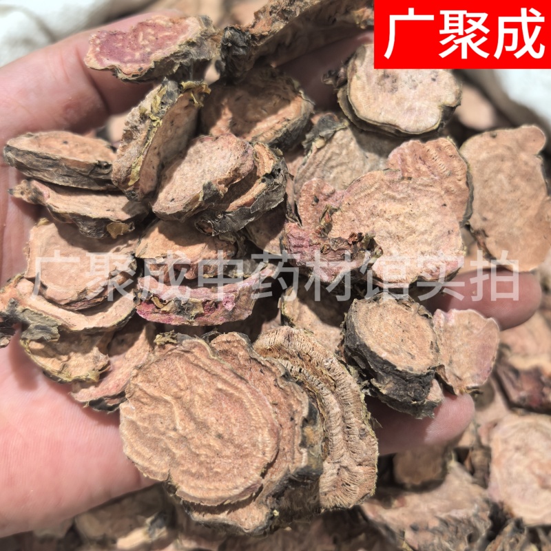 红景天大花红景天西藏