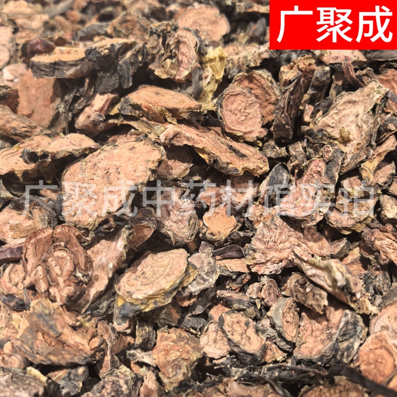 红景天大花红景天西藏