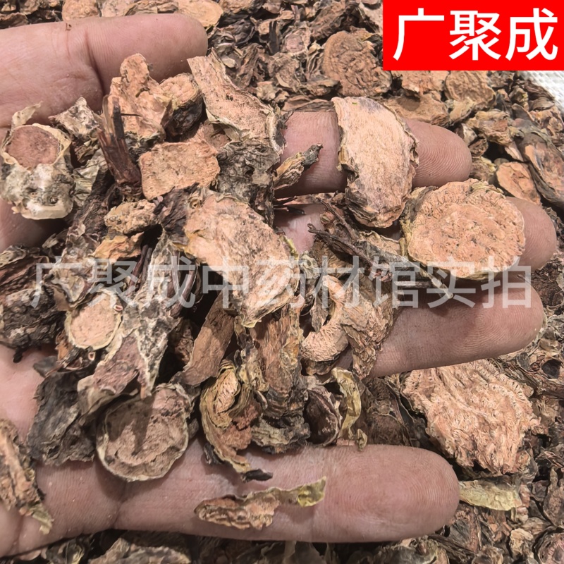 红景天大花红景天西藏