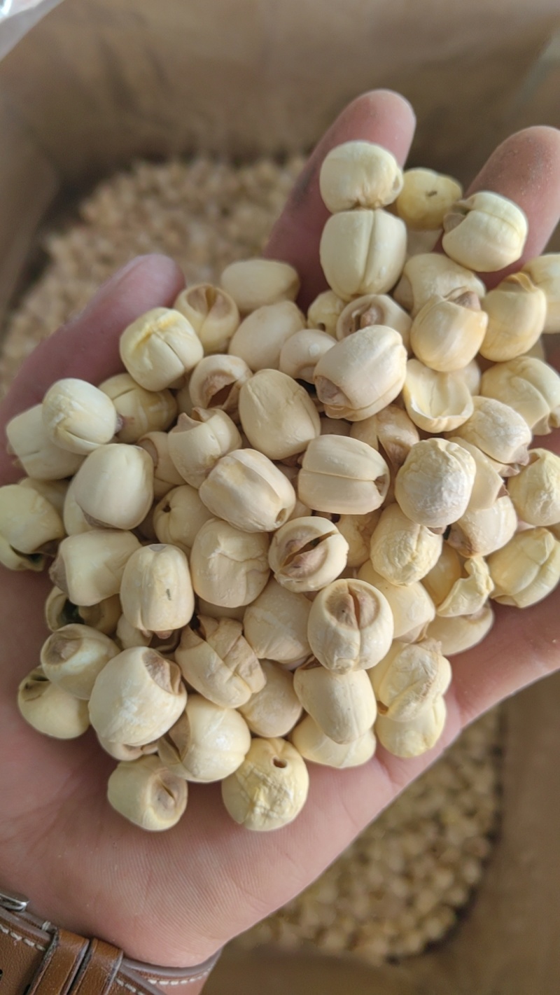 建莲莲子无硫精品磨皮去芯可煲汤