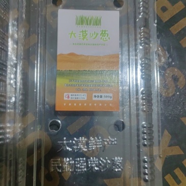 甘肃省武威市民勤县沙葱，产地直发，需要的联系