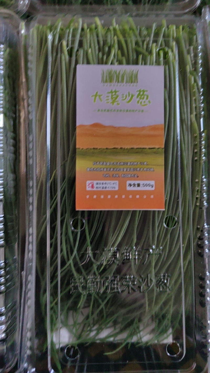 甘肃省武威市民勤县沙葱，产地直发，需要的联系