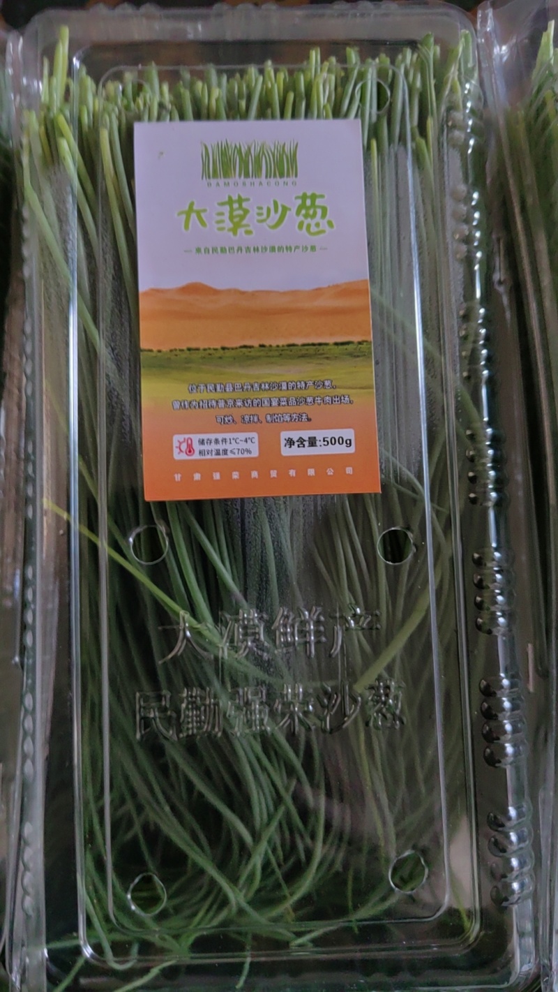 甘肃省武威市民勤县沙葱，产地直发，需要的联系