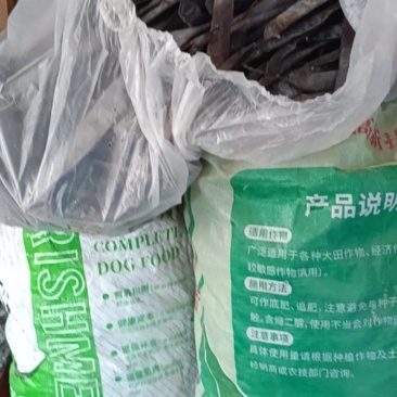 皂角