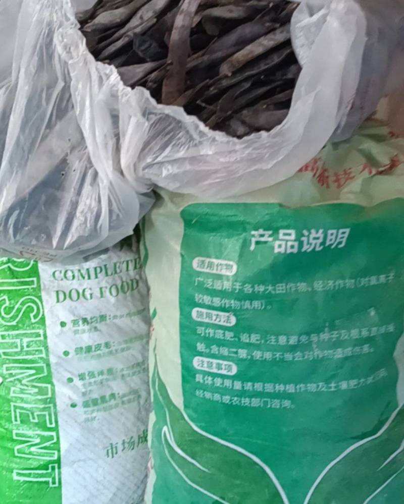 皂角