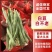 芸豆山东白不老白豆角产地直供对接市场电商商超
